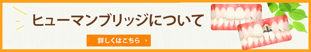 ヒューマンブリッジについて